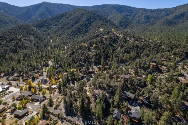a view of a forest with mountains in the background