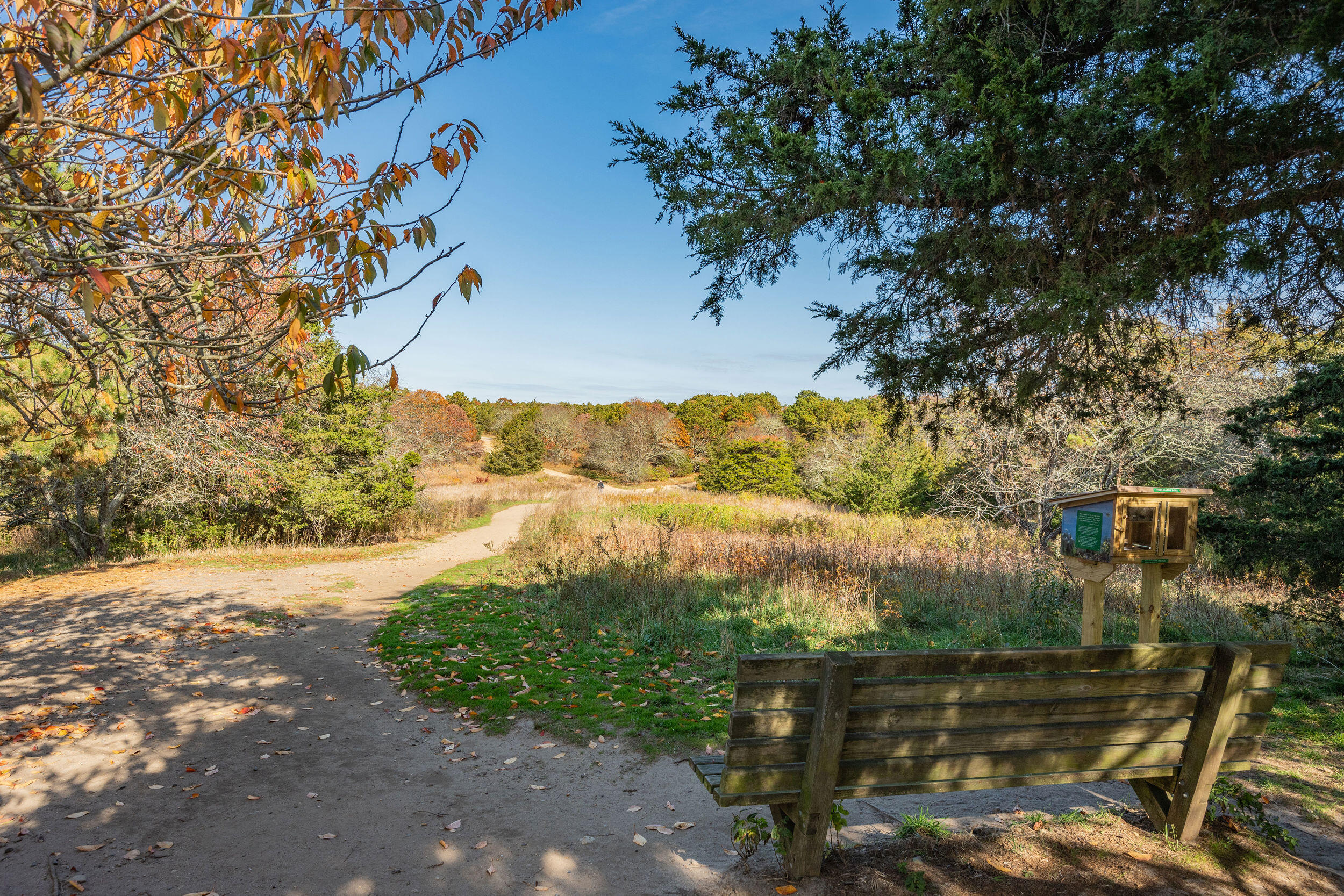 135 Chatham Road Harwich, MA 02645 - Photo 31 of 34 DSC_1988