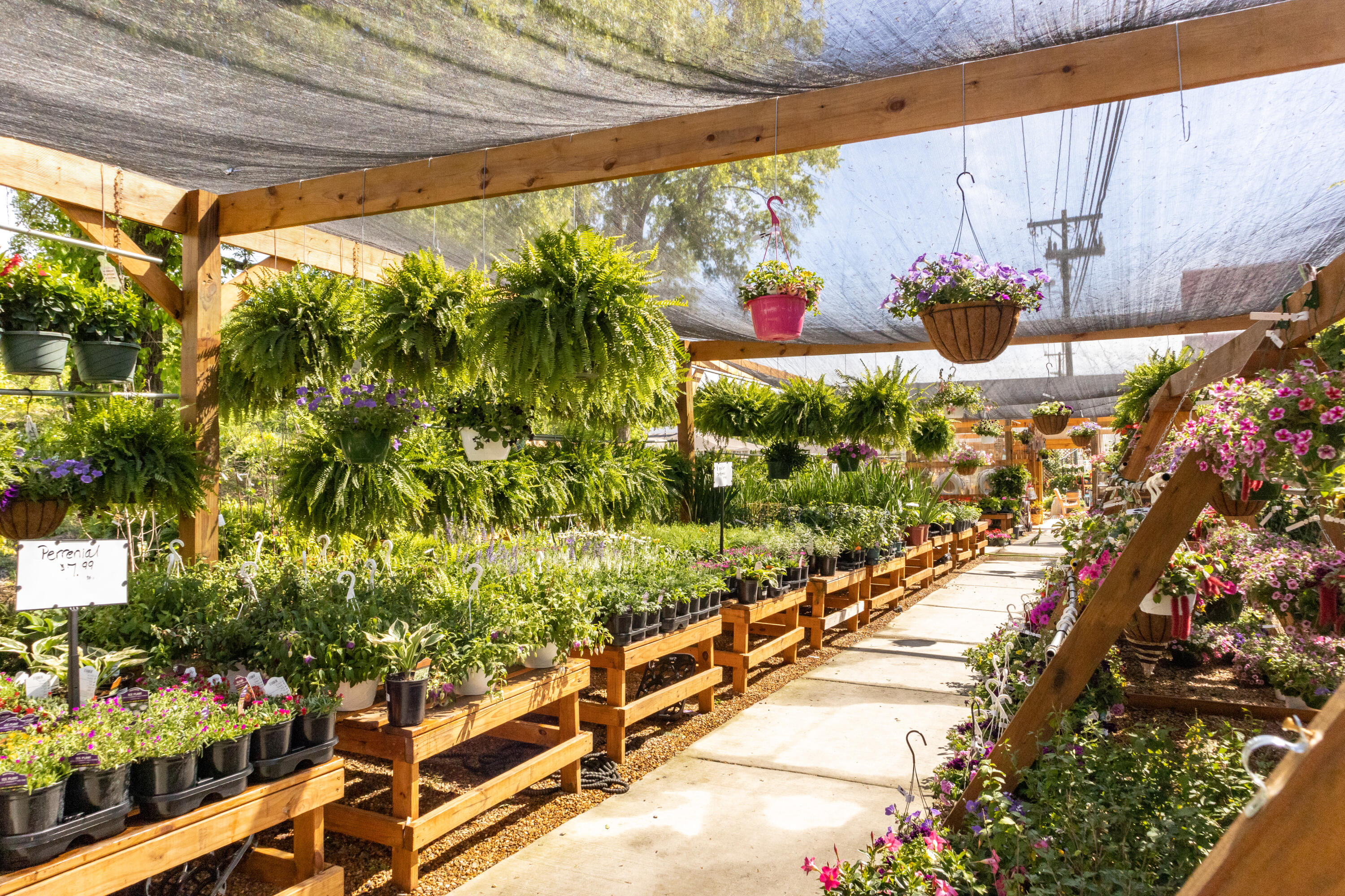 1663 Destiny Drive, Unit 12 Hixson, TN 37343 - Photo 29 of 33 Hughes Farmers Market