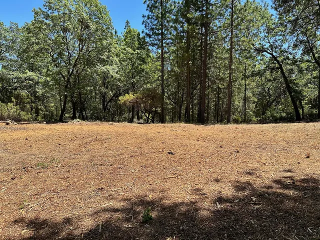 $325,000 | 16681 Winchester Club Drive, Meadow Vista, CA 95722