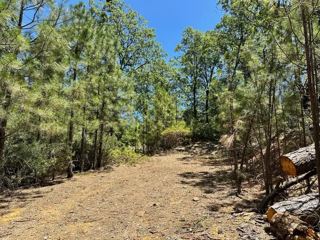 $325,000 | 16681 Winchester Club Drive, Meadow Vista, CA 95722