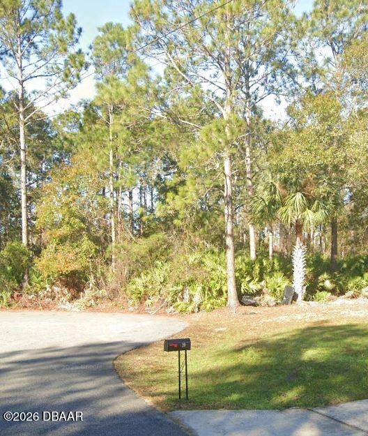 22 Rale Place Palm Coast, FL 32164 - Photo 2 of 3 a view of yard