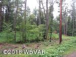 Lot 28 Beutertown Road Liberty, PA 16930 - Photo 5 of 8 125768 (05)