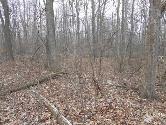 10402 Bass Road Fort Wayne, IN 46818 - Photo 21 of 22