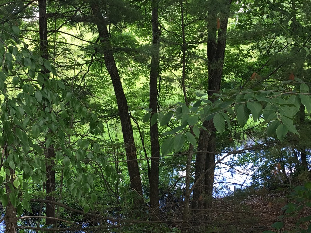 2 Bass Cove Road Westfield, MA 01085 - Photo 3 of 3