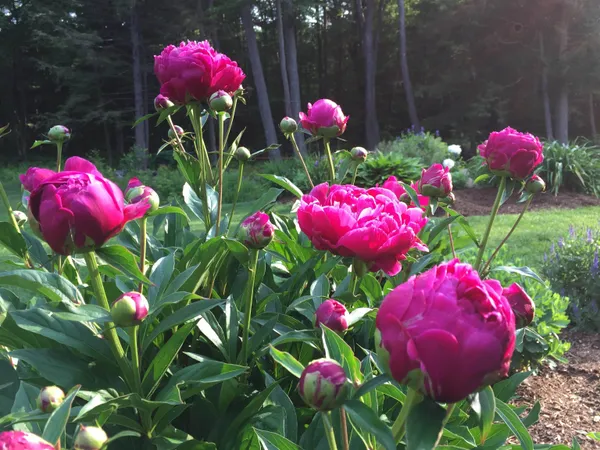 $1,580,000 | 1 Elm Road, Hanover, NH 03750
