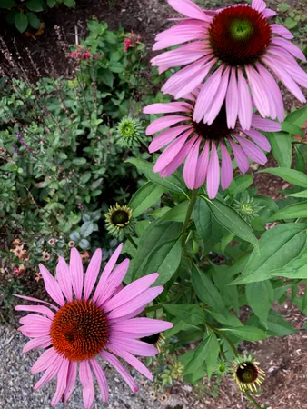 $1,580,000 | 1 Elm Road, Hanover, NH 03750