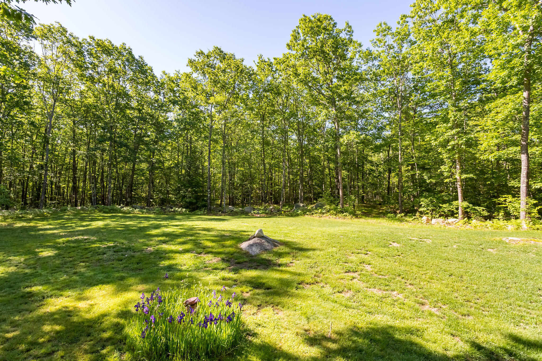 292 Clarkswoods Road Lyman, ME 04002 - Photo 27 of 48 2019_06_17 292ClarksWoodsRd-019-SMALL