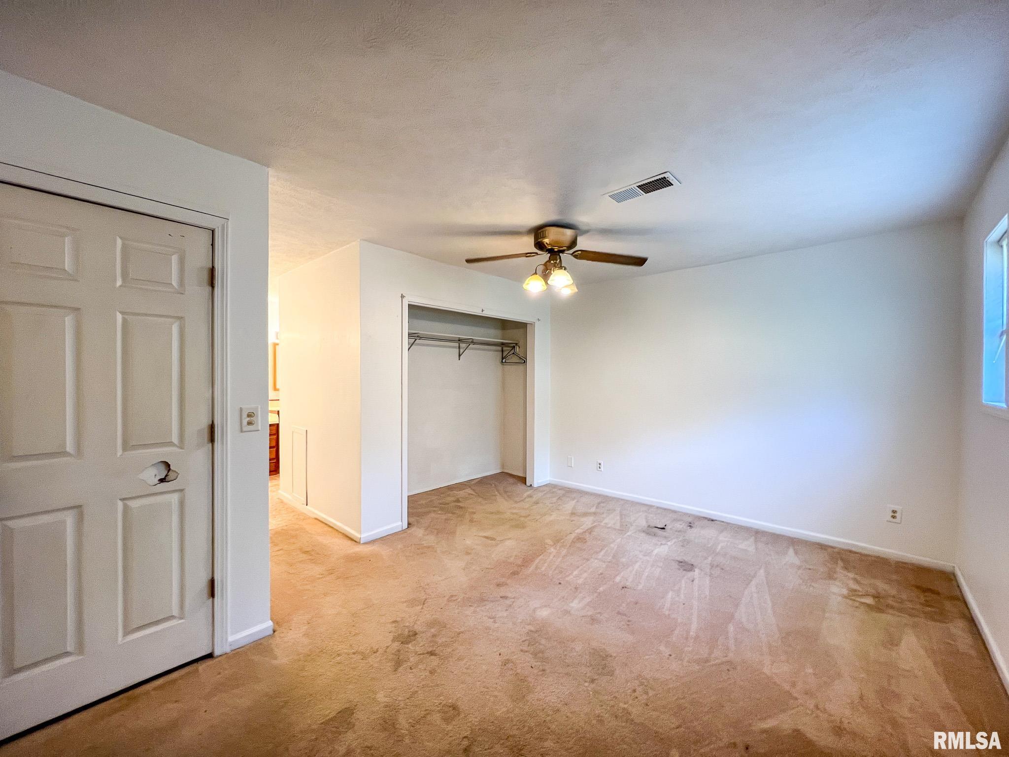 808 West 3rd Street Delavan, IL 61734 - Photo 13 of 28 Gallery Image 13