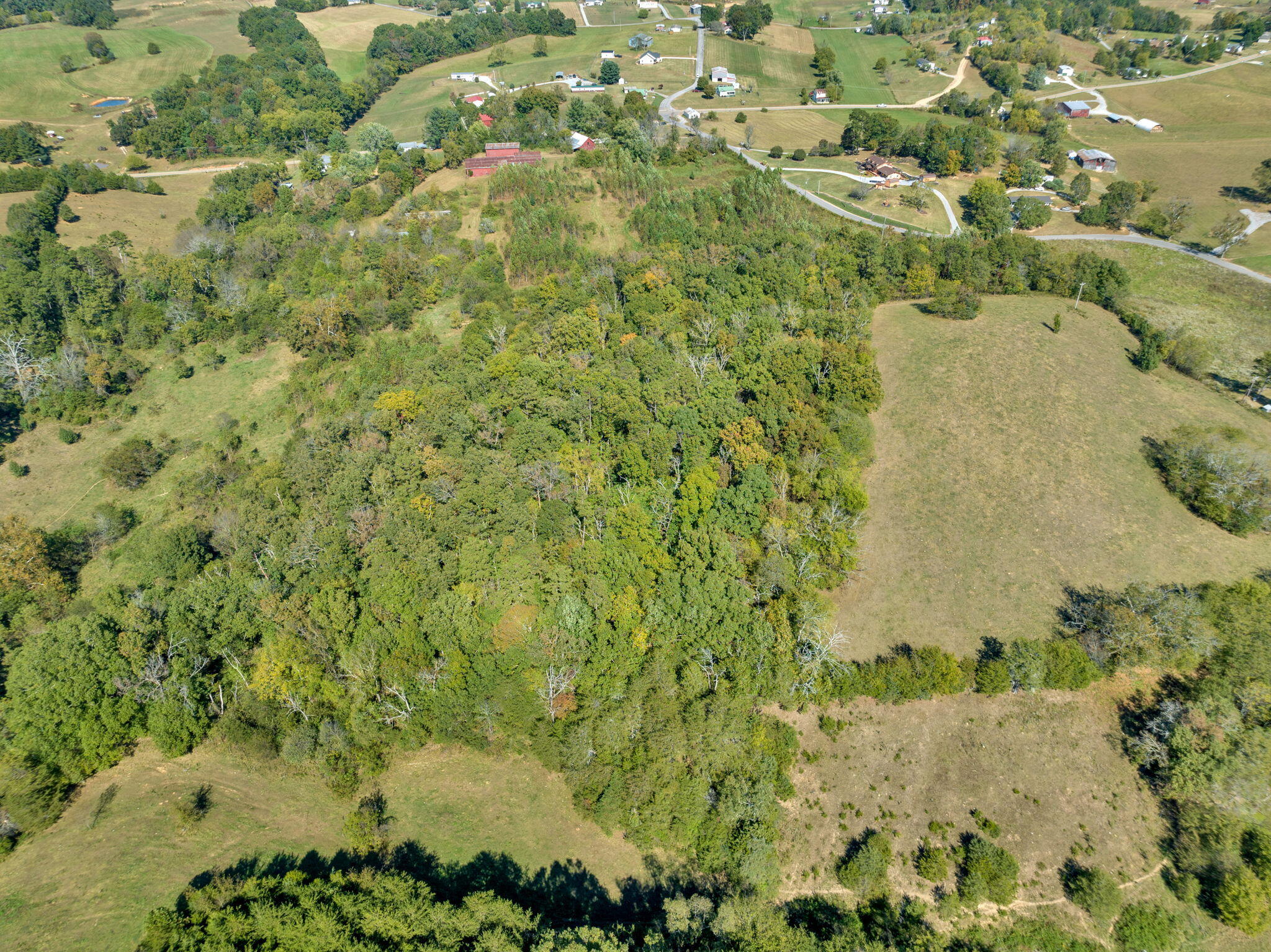 3575 Bright Hope Road Mosheim, TN 37818 - Photo 9 of 18 8-web-or-mls-JH-Fri 20231013-025