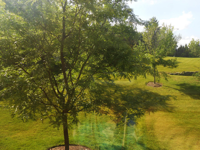 11S484 Rachael Court Lemont, IL 60439 - Photo 11 of 11