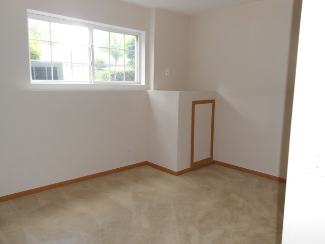 11S484 Rachael Court Lemont, IL 60439 - Photo 5 of 11