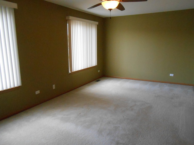 11S484 Rachael Court Lemont, IL 60439 - Photo 6 of 11