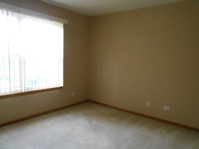 11S484 Rachael Court Lemont, IL 60439 - Photo 7 of 11