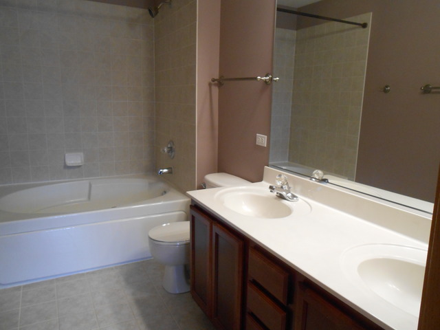 11S484 Rachael Court Lemont, IL 60439 - Photo 10 of 11