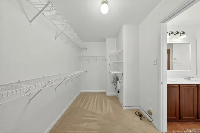 a bathroom with a sink and a shower