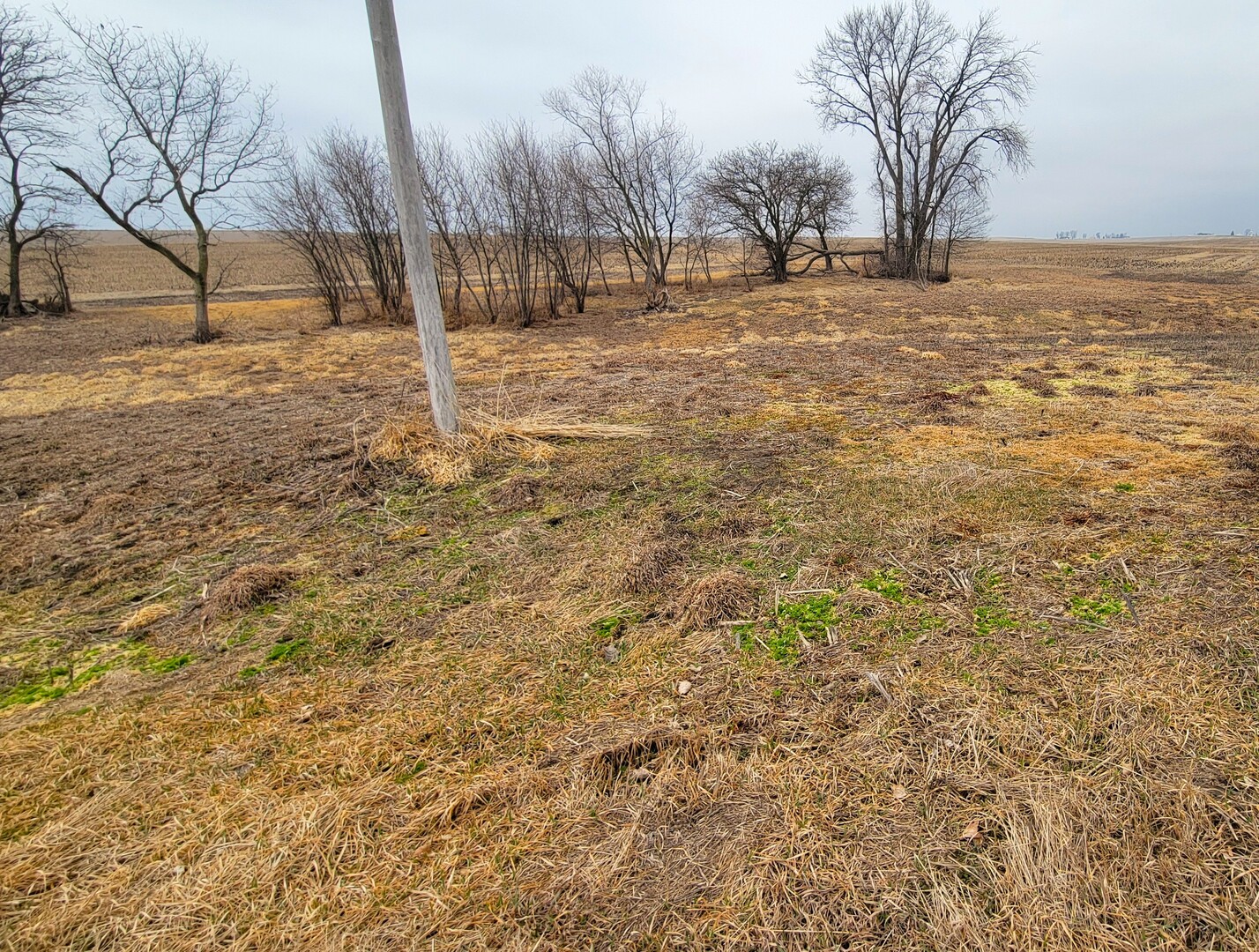 0 2401st Road North Ottawa, IL 61350 - Photo 4 of 8