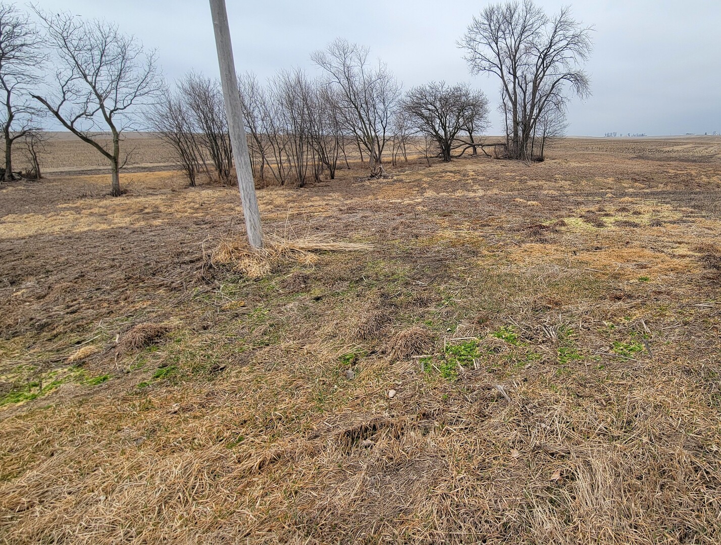 0 2401st Road North Ottawa, IL 61350 - Photo 5 of 8