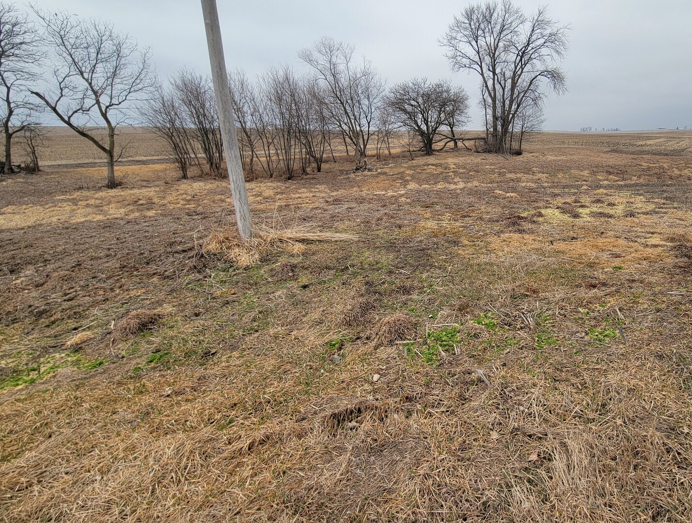 0 2401st Road North Ottawa, IL 61350 - Photo 6 of 8