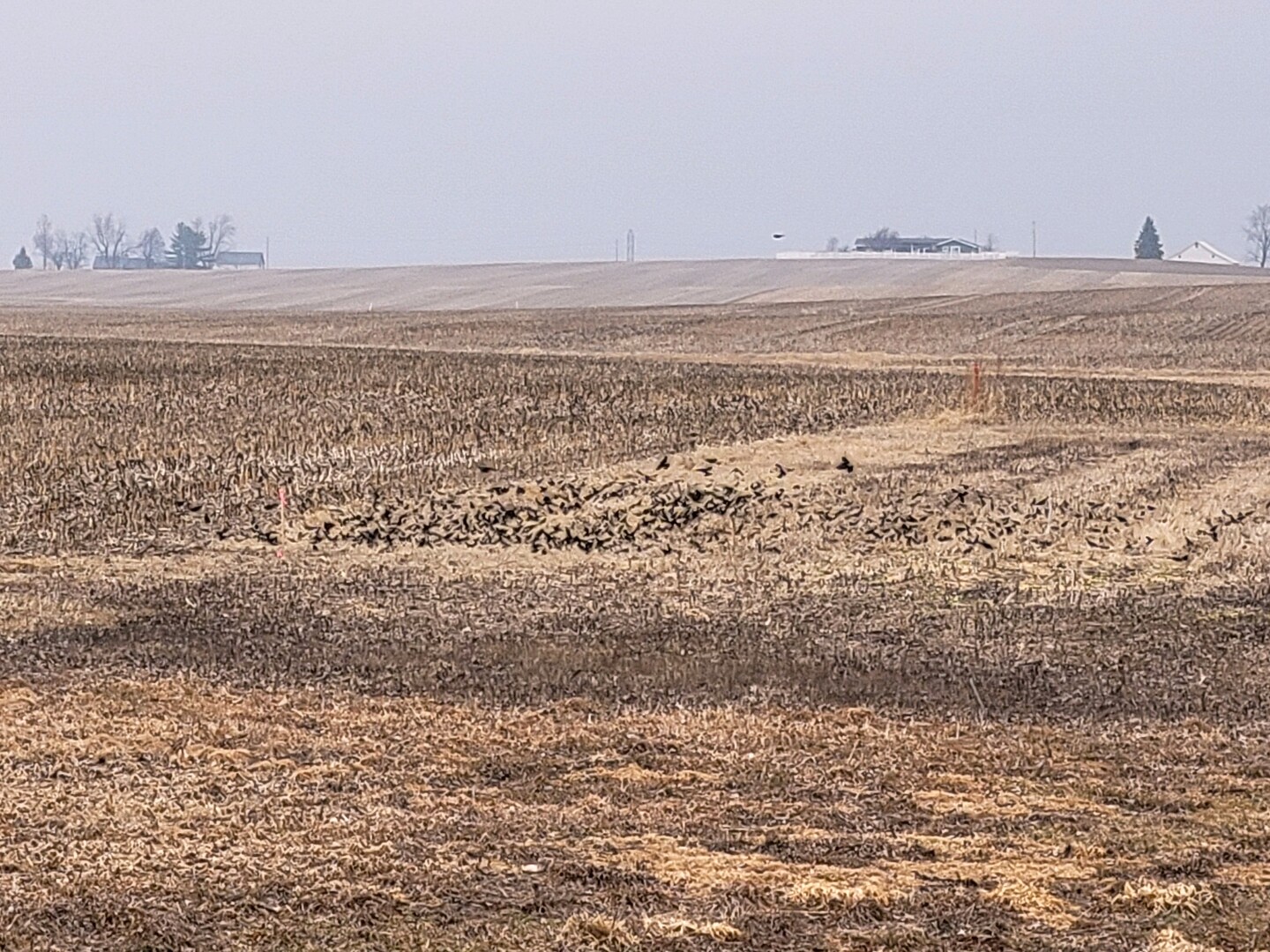 0 2401st Road North Ottawa, IL 61350 - Photo 7 of 8