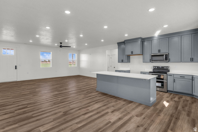520 East 450th Street North Delta, UT 84624 - Photo 15 of 48 Kitchen featuring gray cabinetry, stainless steel appliances, recessed lighting, a kitchen island, and dark wood-style floors