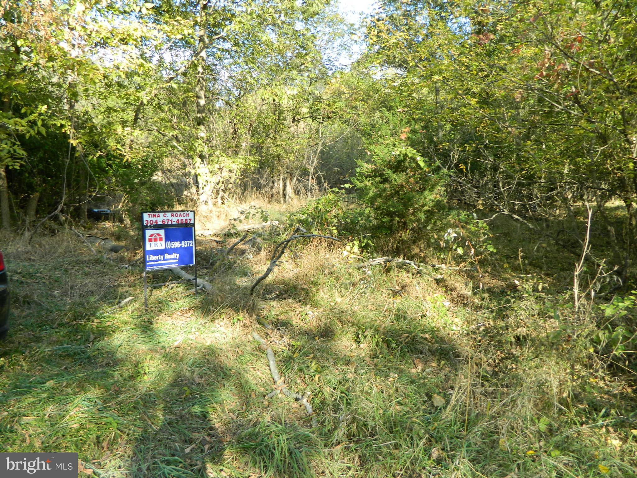 Quarry Road Bunker Hill, WV 25413 - Photo 14 of 14 Exterior (Front)