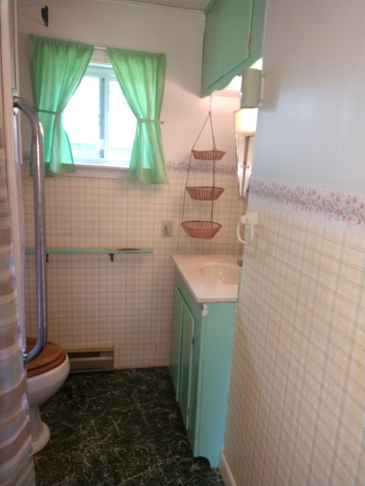 313 Averill Road Springfield, ME 04487 - Photo 11 of 15 IMG_20190920_124255060