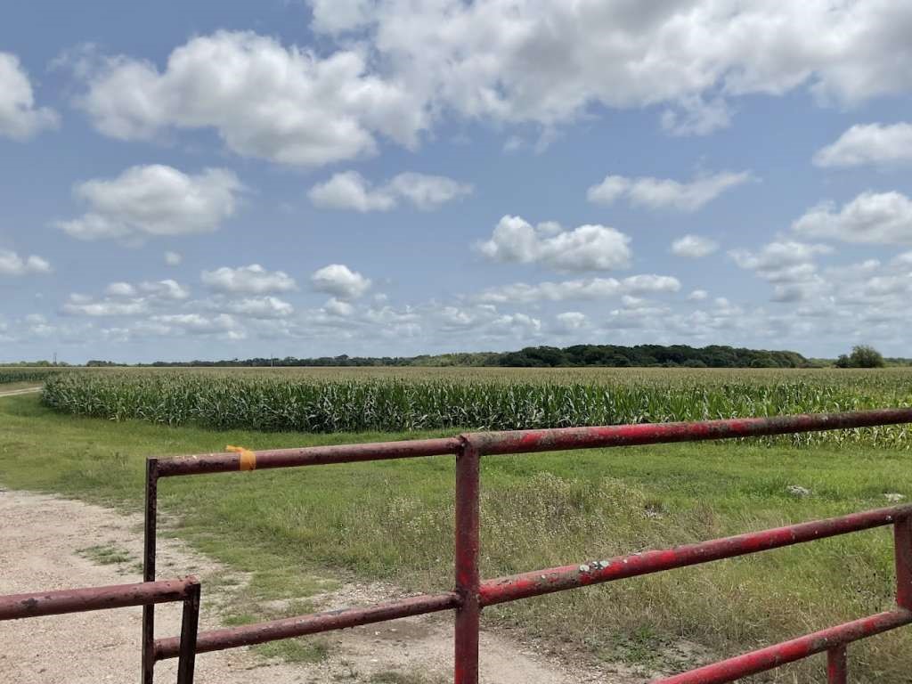 0 Fm-616 Blessing, TX 77419 - Photo 2 of 6 a view of a lake from a balcony