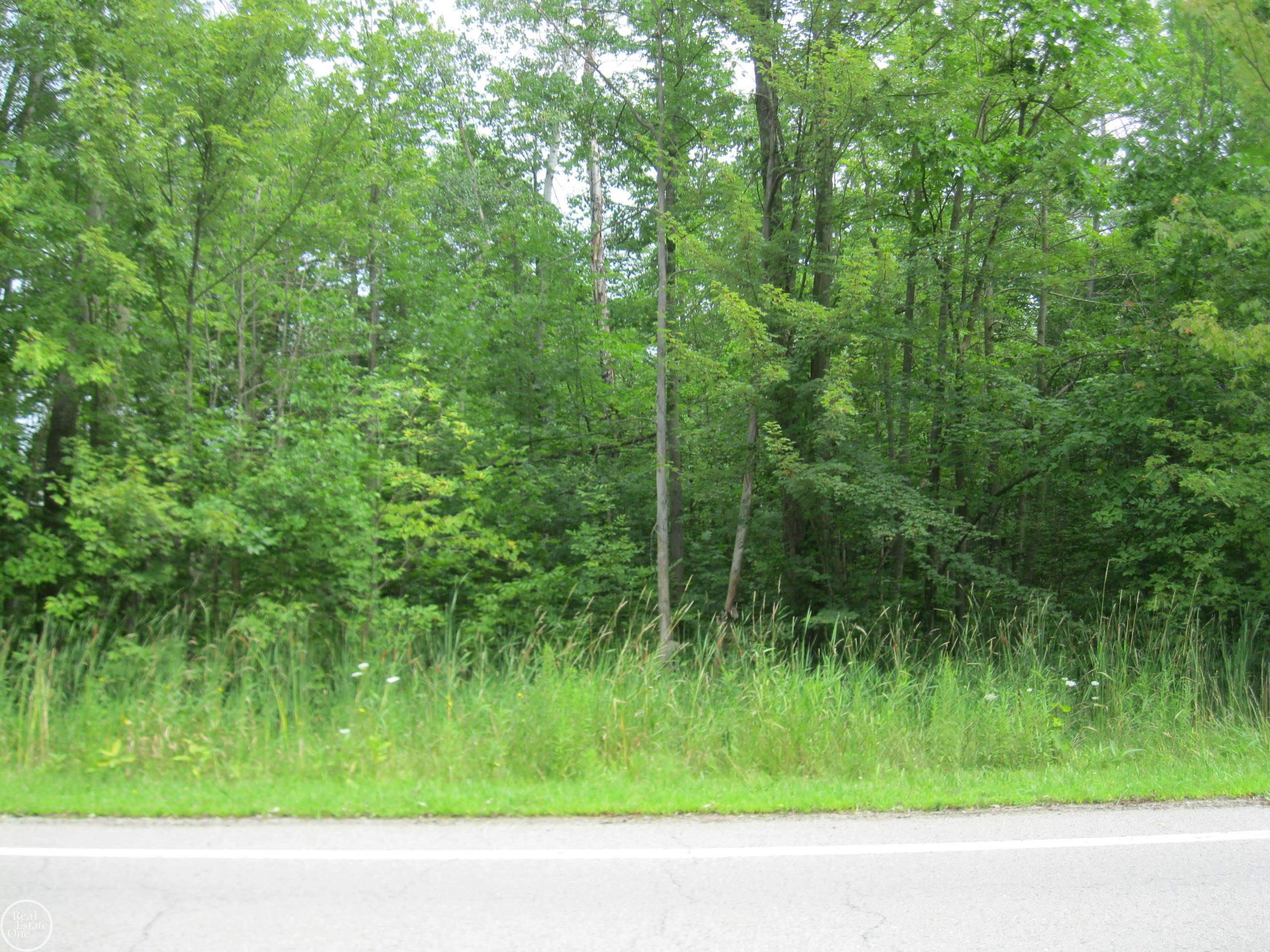 0 West Buell Road Presque Isle, MI 49777 - Photo 3 of 3 50118394-2.JPG