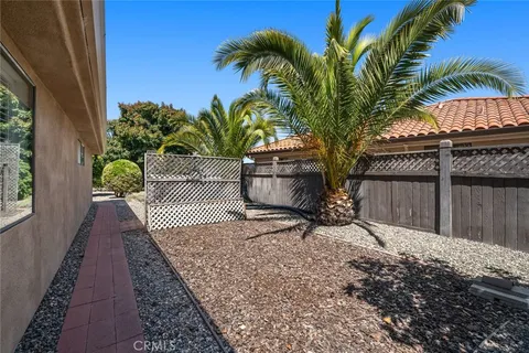 a house with palm tree in front of it