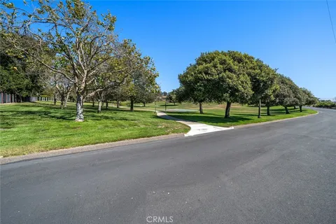 a view of a park with large trees