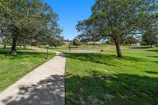 a park view with a fountain