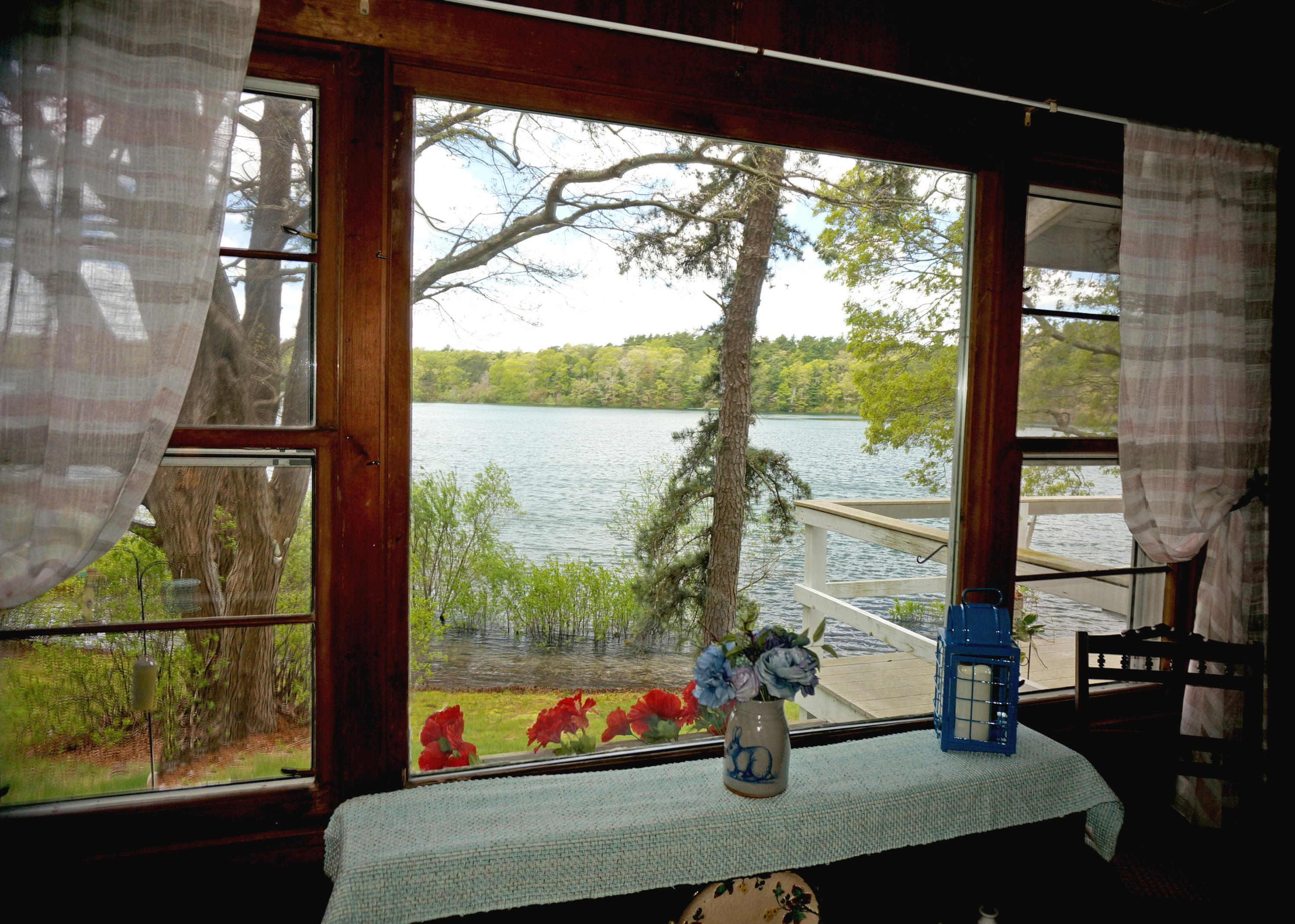 92 Stowe Road Sandwich, MA 02563 - Photo 14 of 33 Living view from window