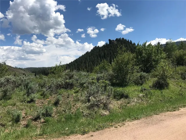 a view of a city with lush green forest
