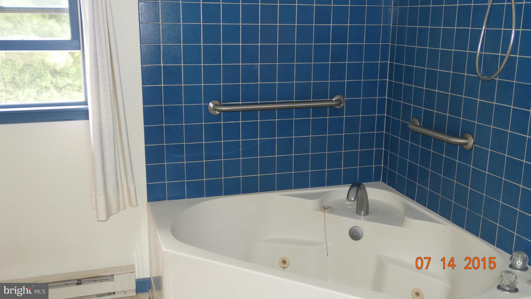 29290 Backtown Road Trappe, MD 21673 - Photo 12 of 14 Bedroom (Master)