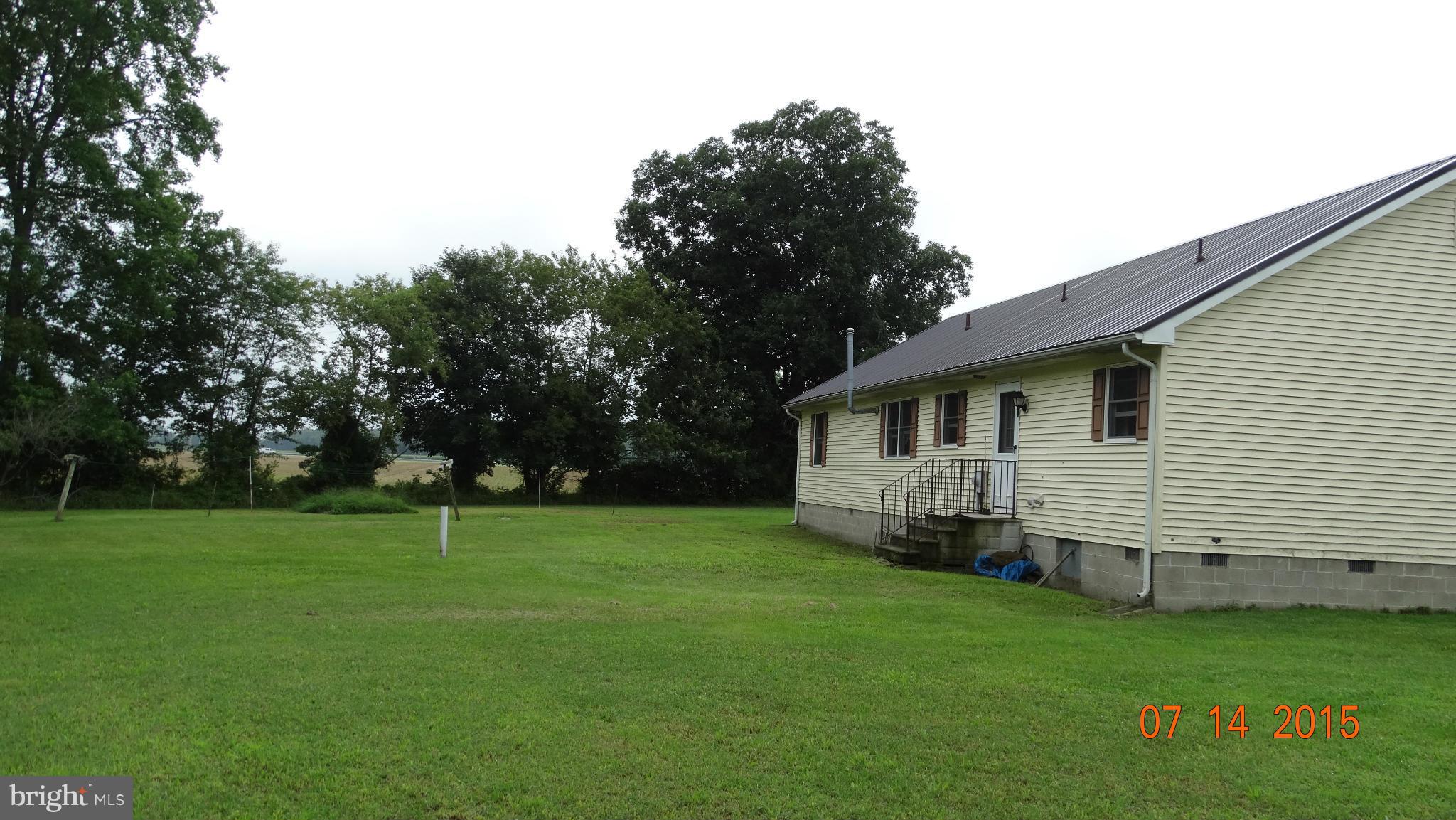 29290 Backtown Road Trappe, MD 21673 - Photo 4 of 14 Exterior (Rear)