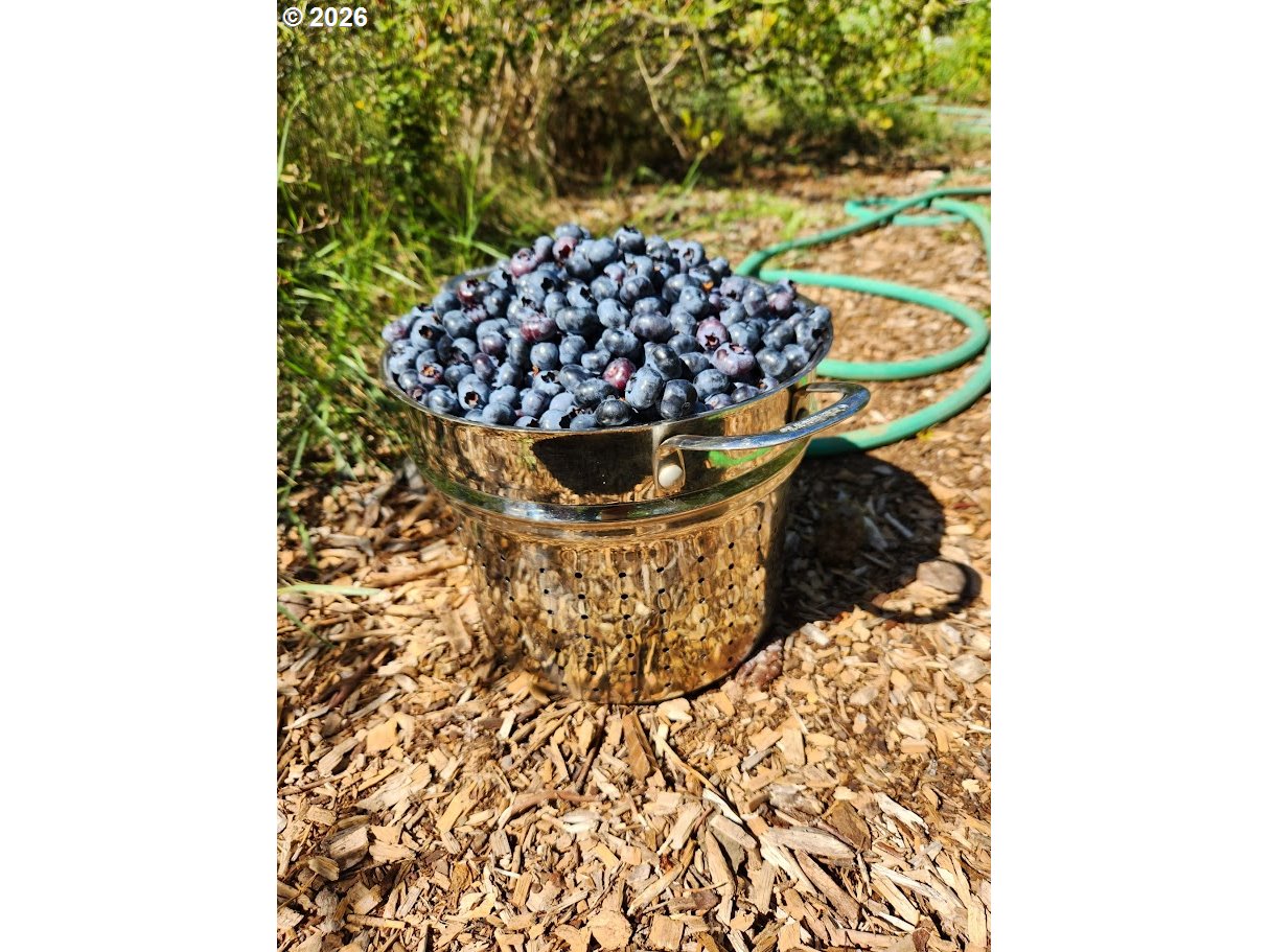 45235 Southeast Coalman Road Sandy, OR 97055 - Photo 43 of 48