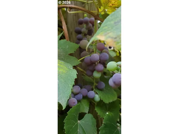 $795,000 | 45235 Southeast Coalman Road, Sandy, OR 97055