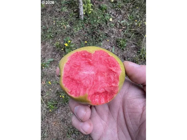 $795,000 | 45235 Southeast Coalman Road, Sandy, OR 97055