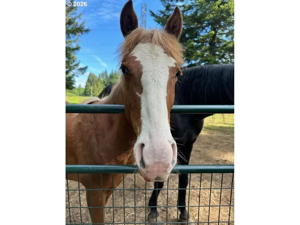 $795,000 | 45235 Southeast Coalman Road, Sandy, OR 97055