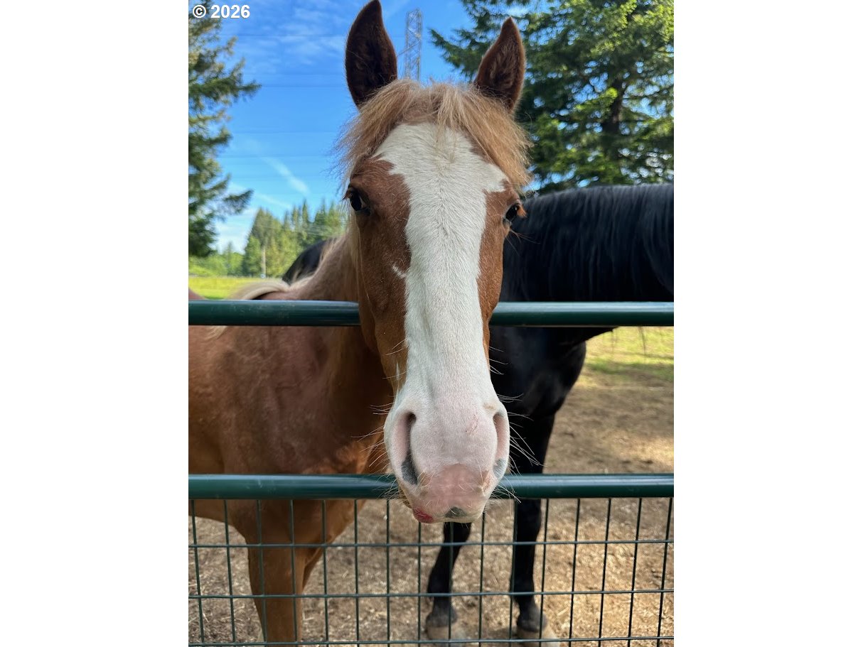 45235 Southeast Coalman Road Sandy, OR 97055 - Photo 47 of 48