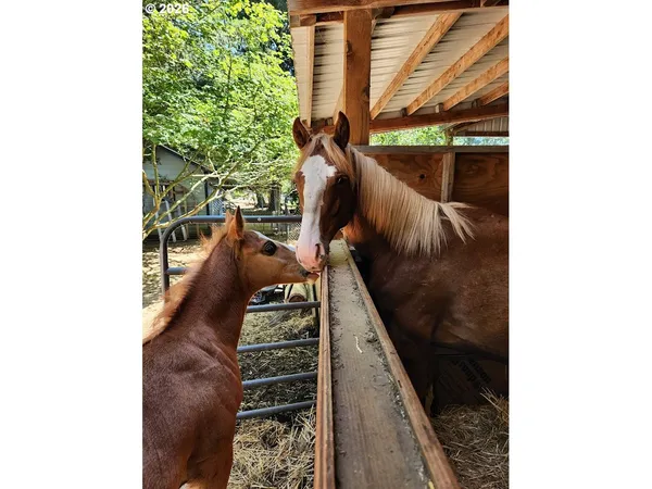 $795,000 | 45235 Southeast Coalman Road, Sandy, OR 97055