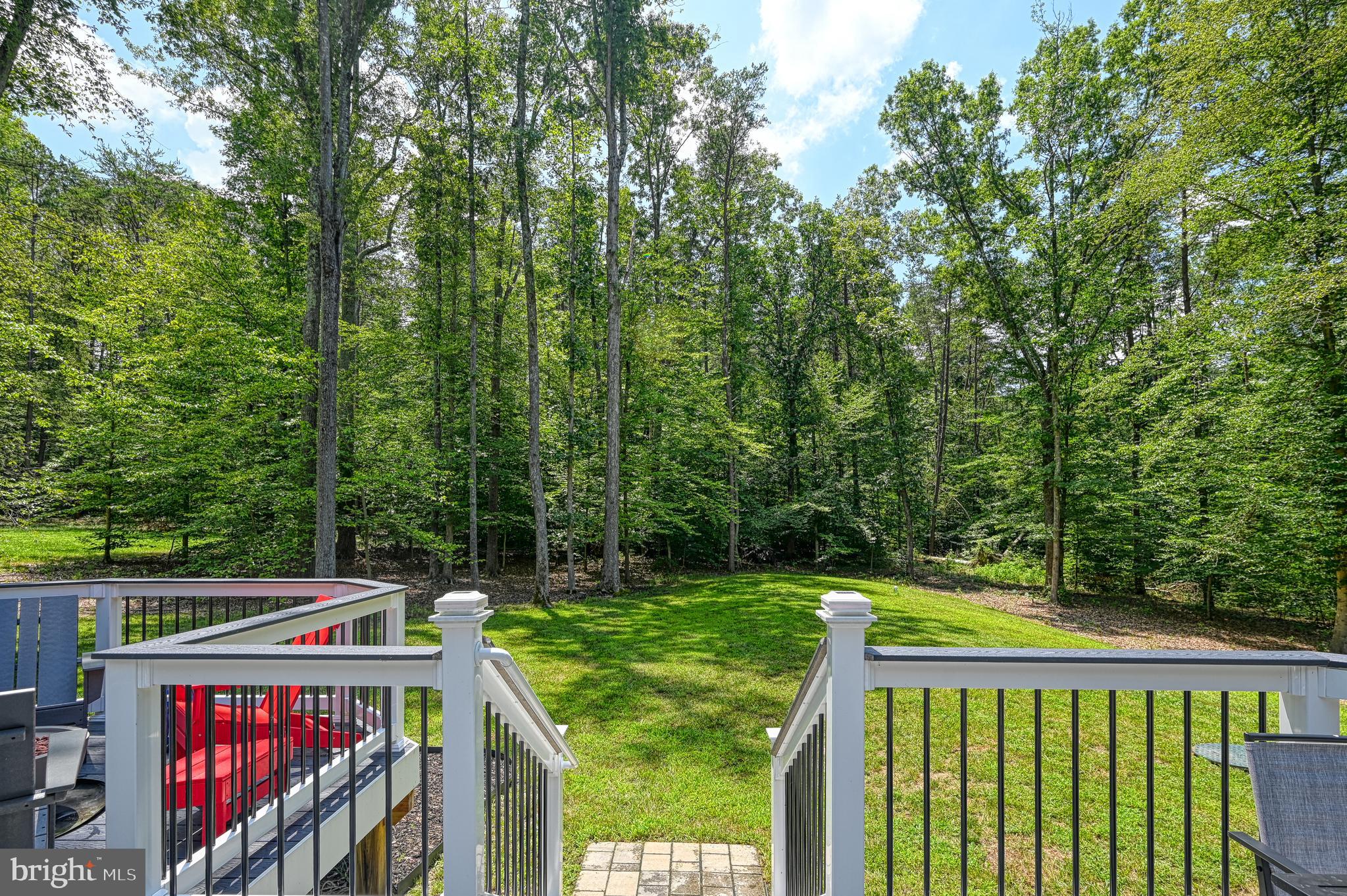 10052 Fairview Road Partlow, VA 22534 - Photo 28 of 32 Wooded lot