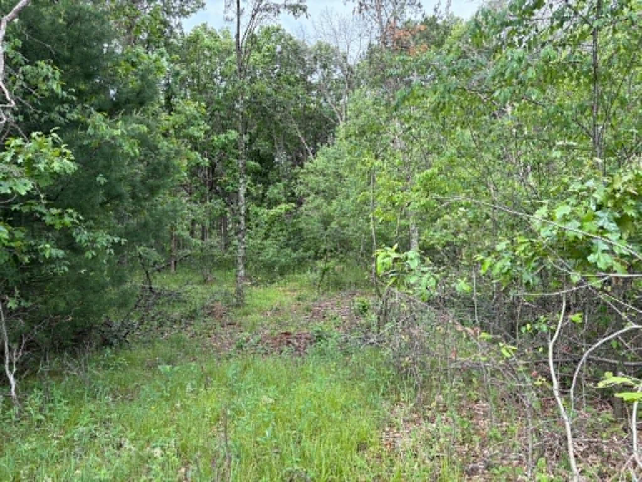 Lot 13 19th Friendship, WI 53934 - Photo 14 of 18