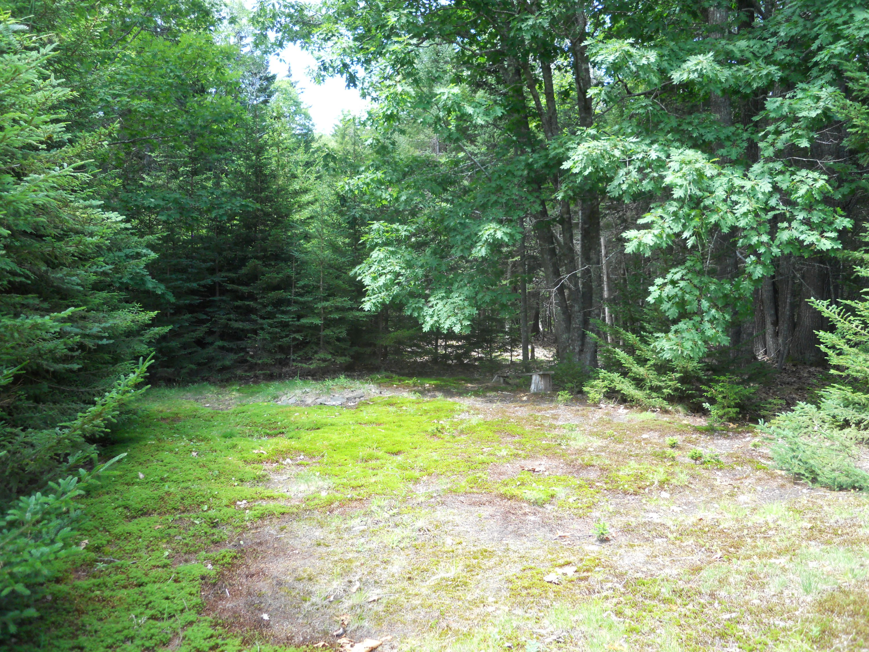 106 West Bay Road Islesboro, ME 04848 - Photo 18 of 61 Backyard:woods9757