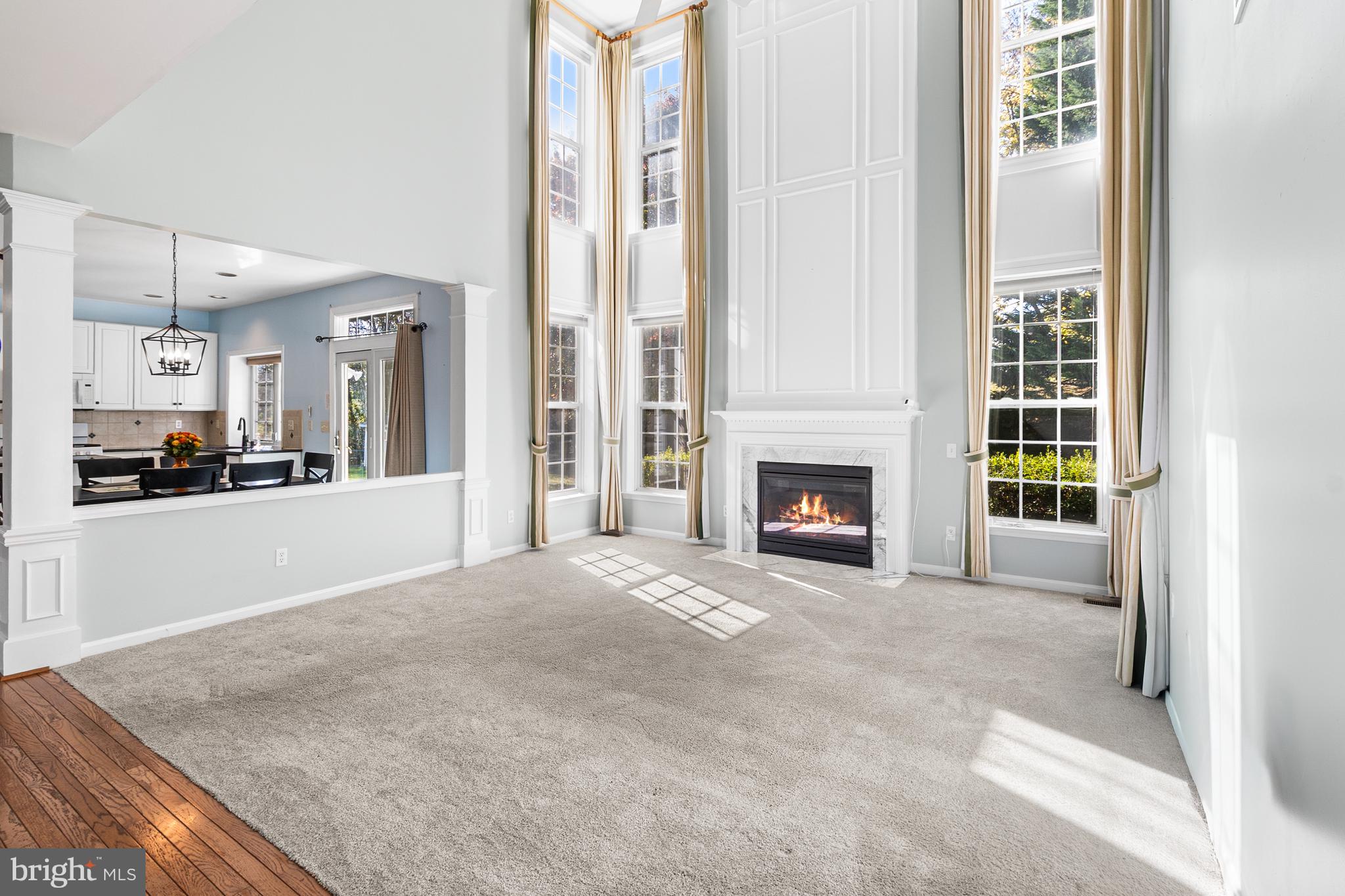 8 Peacock Place Newark, DE 19711 - Photo 13 of 70 Family Room w/ Gas Fireplace