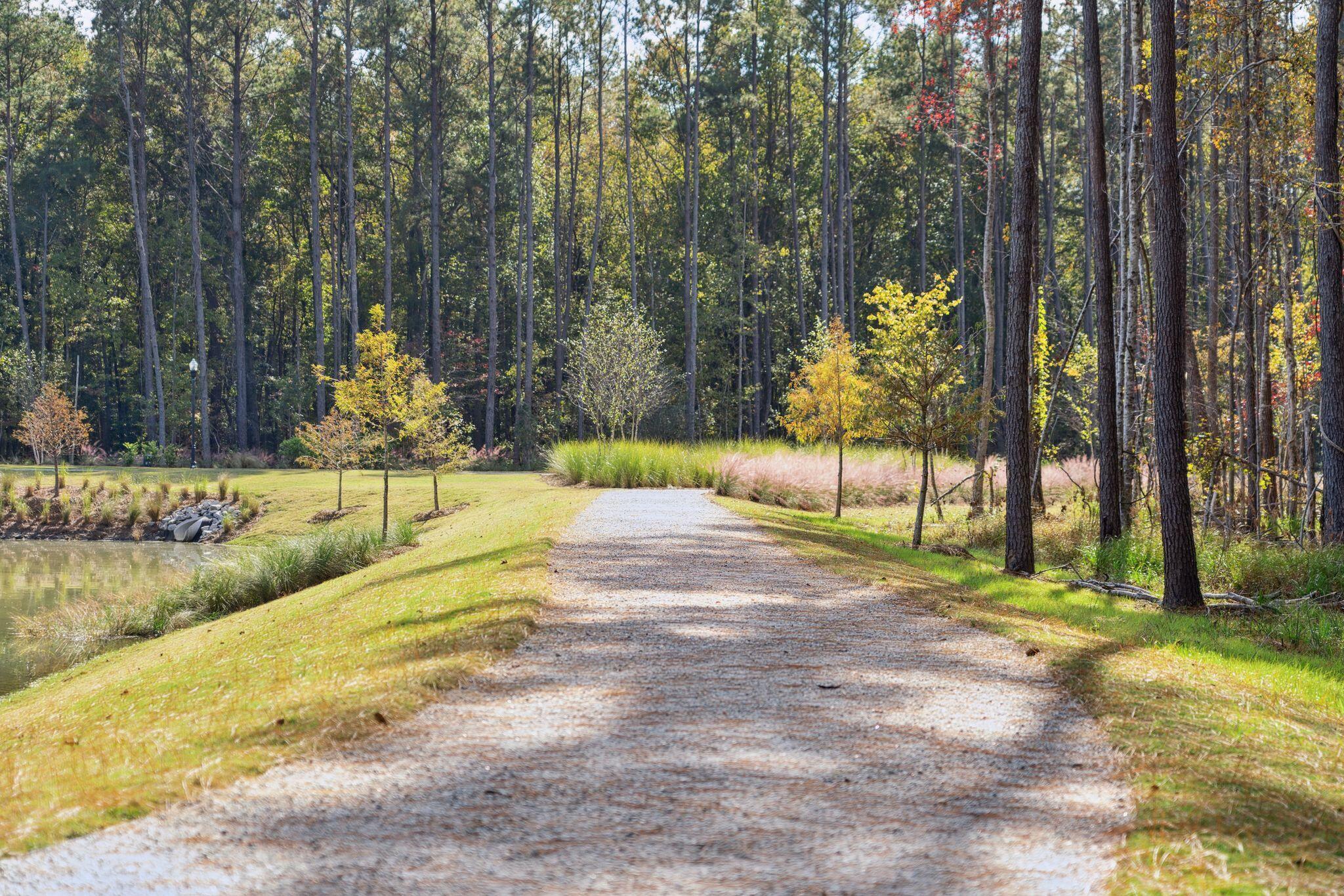 1025 Sagegrass Street Summerville, SC 29485 - Photo 16 of 20 walking trail