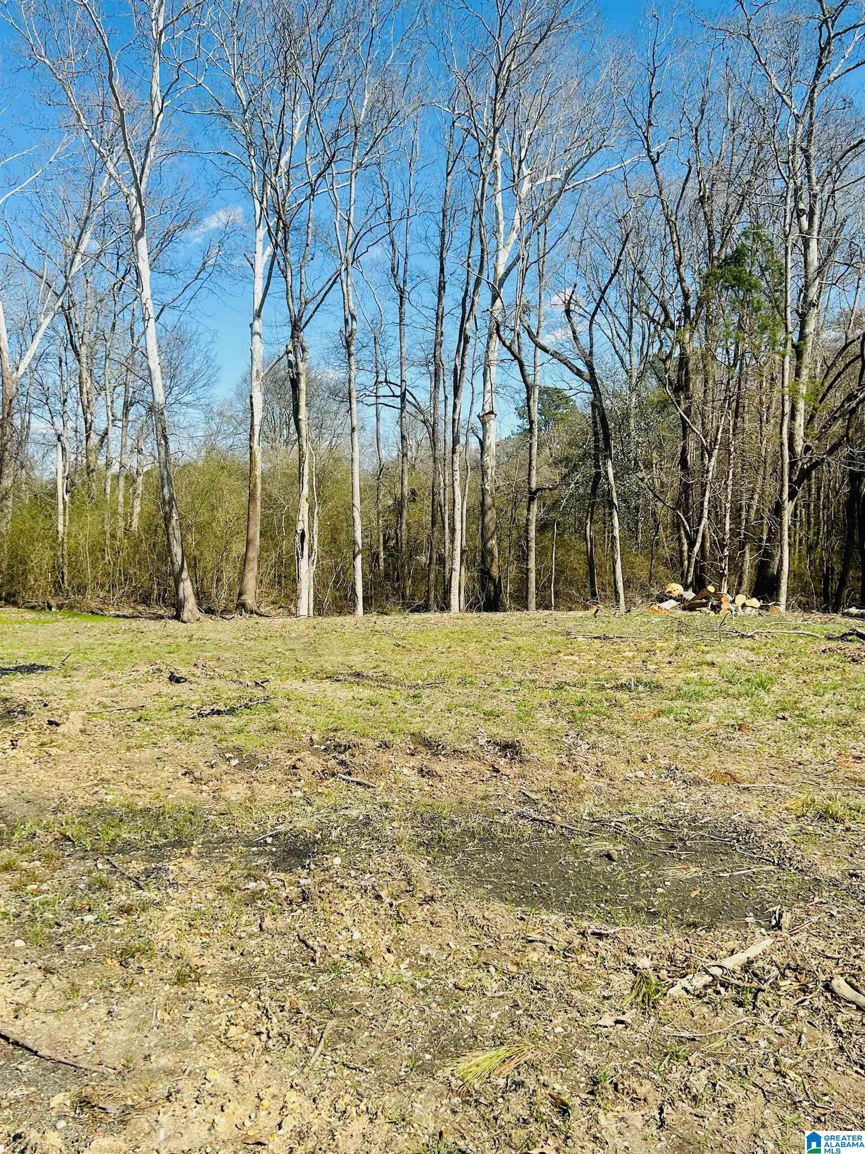 6357 Rocky Ford Road Gadsden, AL 35903 - Photo 16 of 18