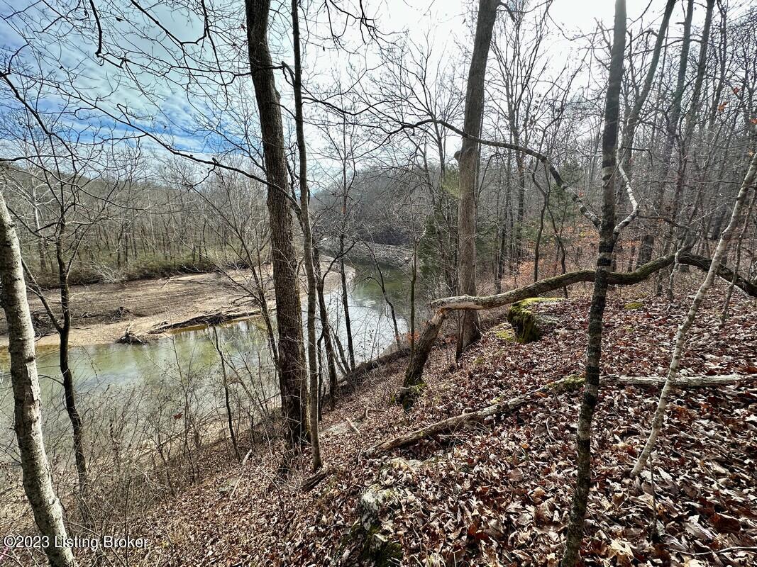 L37 Ted Logsdon Road Clarkson, KY 42726 - Photo 16 of 25 Image00029