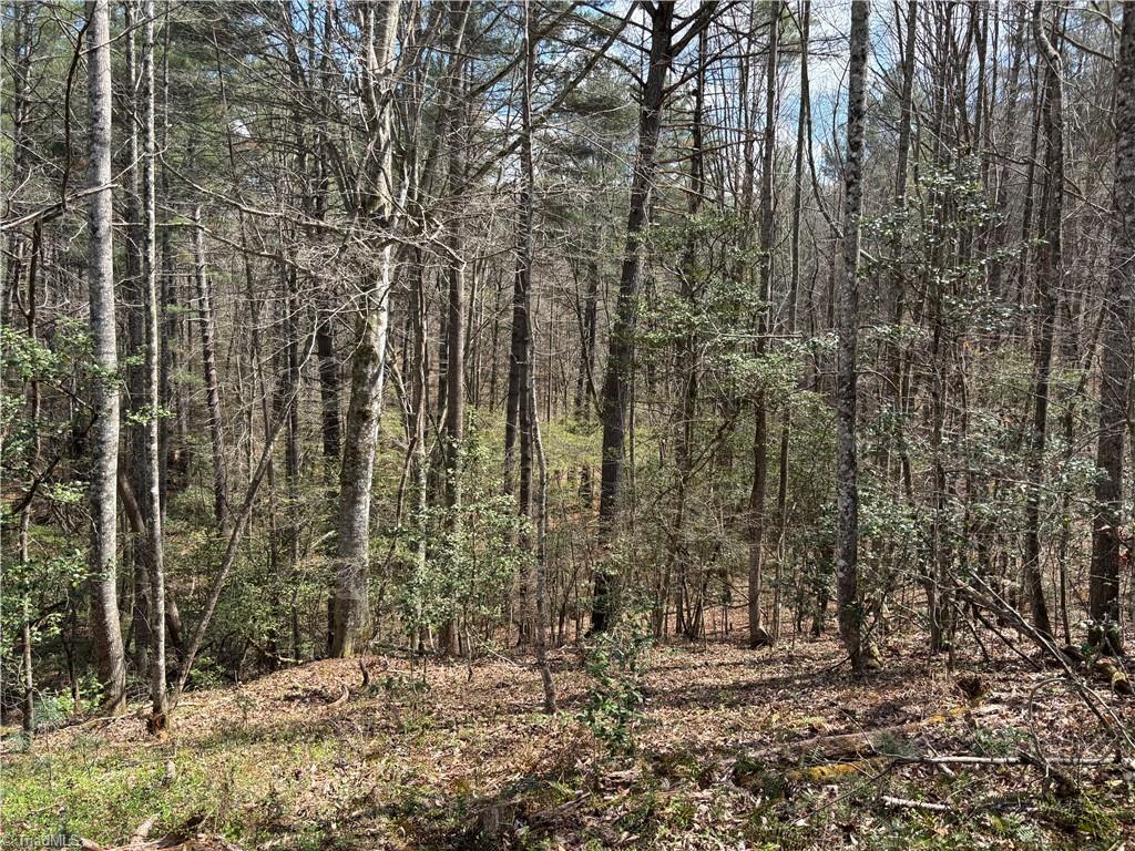 647 Boone Gap Road Boomer, NC 28606 - Photo 10 of 22